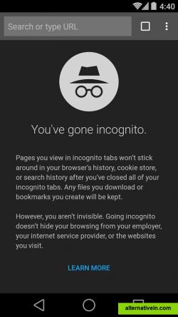 Incognito View (Android)