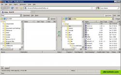 version 1.0.10 , winxp, sftp connection