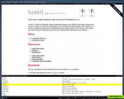 Luakit homepage (with command-line)