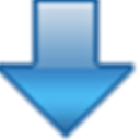 Flash Video Downloader icon