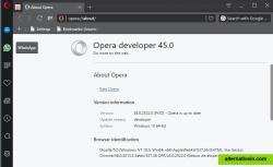 Opera Developer 45.0