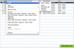 Finder Context menu on Mac (Lion)
