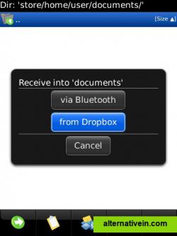 Files from DropBox to SD-Card
