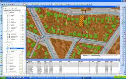 MapInfo v10 interface showing map and browser windows with sample data
