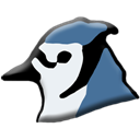 BlueJ icon