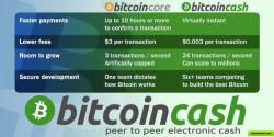 Comparison Bitcoin (BTC) and Bitcoin Cash (BCH)