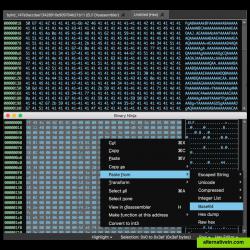 Hex editor includes a number of convenient helpers for transforming and copying/pasting data in various formats. 