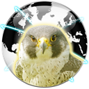 Falcon Private Browser icon