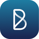 Blink - Digital Transformation icon