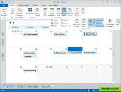 Project calendar for a concise overview of tasks, activities and milestones across all projects.