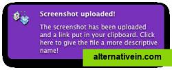 Optionally give screenshots a different name 