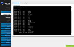Using the web browser based Remote Command Prompt