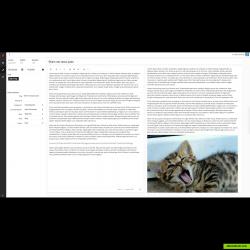 Split view content editor with Markdown support