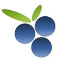 Findberry icon