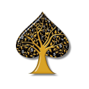 FTRpoker icon