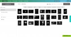 Pixpa Website Builder - Manage Gallery