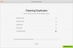 MacFly Pro Cleaner - Cleaning duplicates