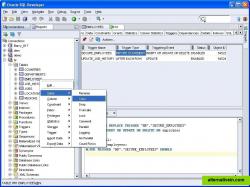 SQL Developer on Windows