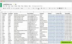 List of leads with email addresses