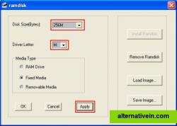 Choose the Disk Size and Drive Letter