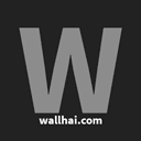 Wallhai.com icon