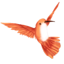 that lil hummingbird icon