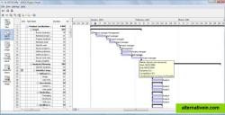 Microsoft Project Viewer for Windows