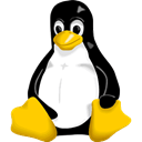Linux kernel icon