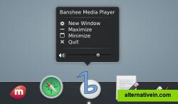 Banshee Application Controls