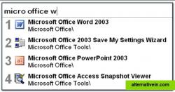 Search for "micro office w"
