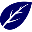 Leafdoc icon