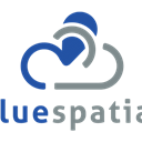Blue Spatial icon