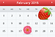 Ovulation calendar online icon