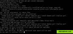Installing New Software (apt-get install)