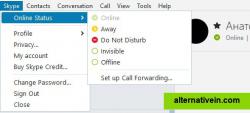 Window menu and Skype's statuses