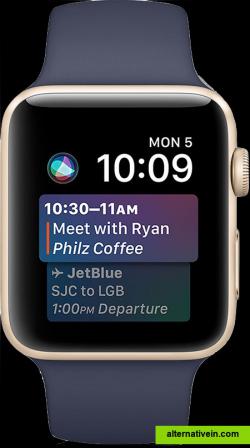 Siri in an Apple Watch.