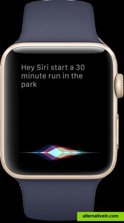 Siri in an Apple Watch. 