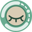 Decentraleyes icon