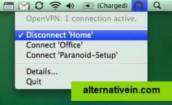 Screenshot shows how to connect and disconnect