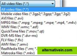 Input video formats