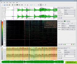 Sonic Visualiser 0.9 showing a waveform, beat locations detected by a Vamp plugin, an onset likelihood curve, a spectrogram with instantaneous frequency estimates and a "harmonic cursor" showing the relative locations of higher harmonics of a frequency, a waveform mapped to dB scale, and an amplitude measure shown using a colour shading.