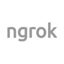 ngrok icon