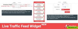 Live Traffic Feed Widget